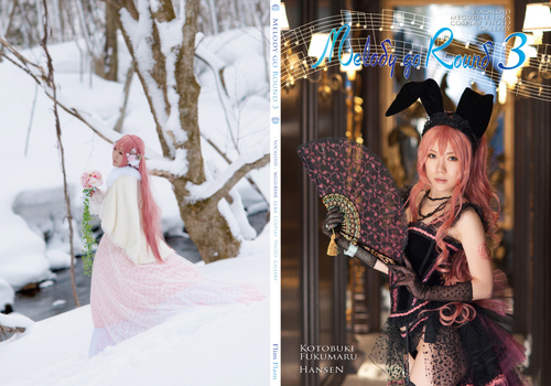 c85ルカコスプレROM写真集