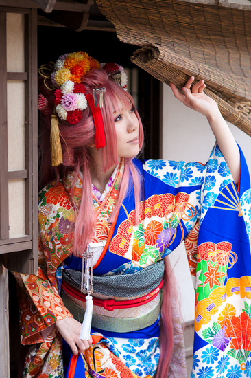 まだ蕾なり花娘京都撮影レポ