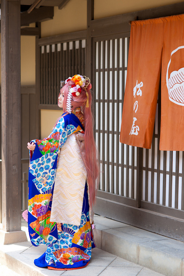 まだ蕾なり花娘京都撮影レポ