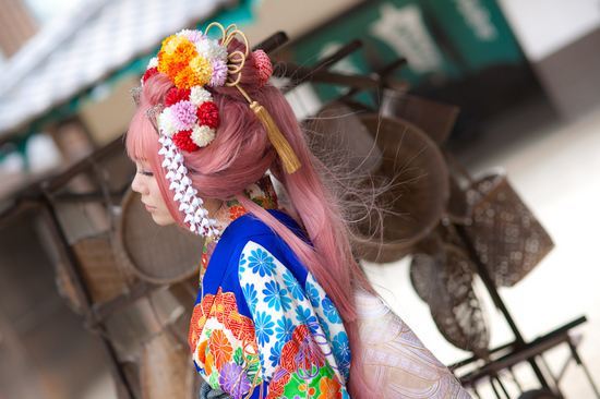 まだ蕾なり花娘京都撮影レポ
