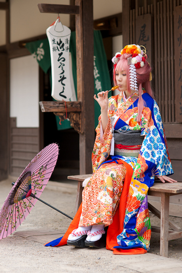 まだ蕾なり花娘京都撮影レポ